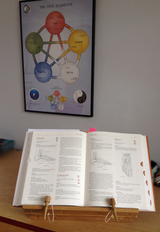acupuncture(2)
